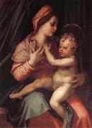 Andrea del Sarto Virgin Mary and her son oil painting reproduction